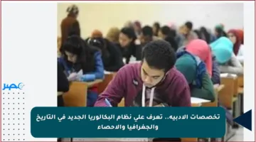 تخصصات الأدبية.. تعرف على نظام البكالوريا الجديد في التاريخ والجغرافيا والإحصاء